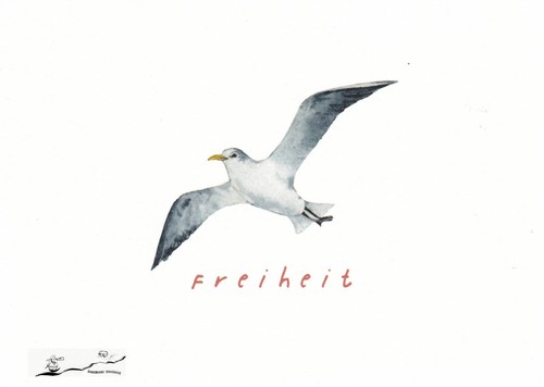 Postkarte freiheit möwe - postkarte:,